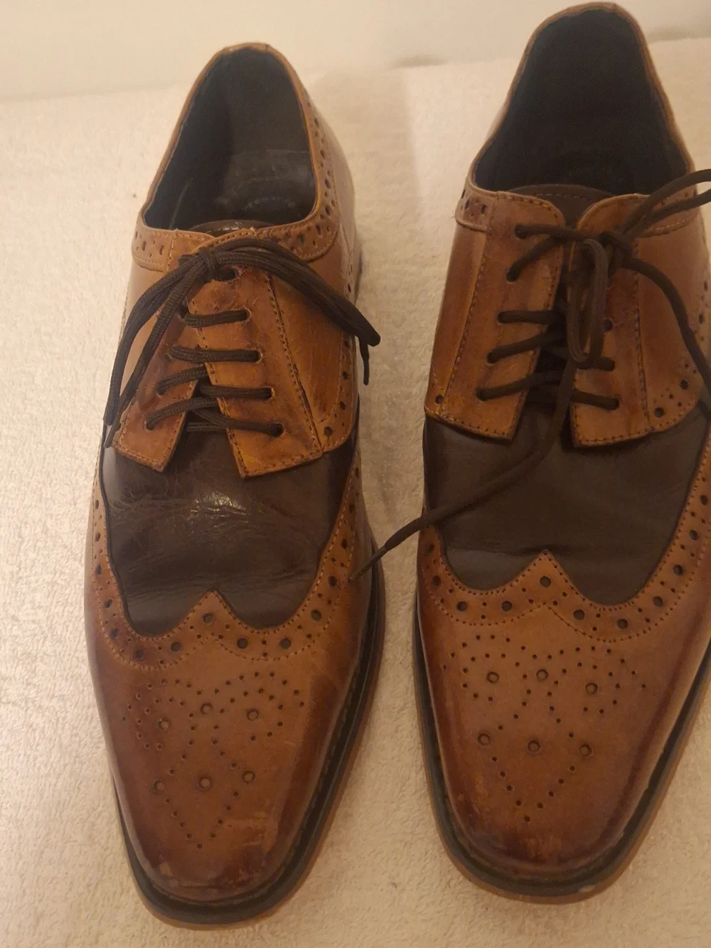 Stacy Adams Two-Tone Brown & Dark Brown Wingtip Oxfords